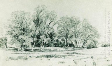 Árboles en el campo Bratsevo 1866