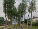 lane of poplars on the banks of the loing 1892