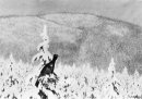 Es schneite und schneite