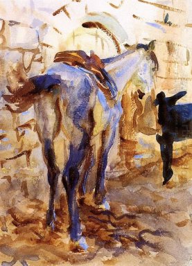 Sadel Häst Palestina 1905