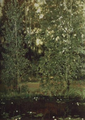 Teich Im Ochtir 1880