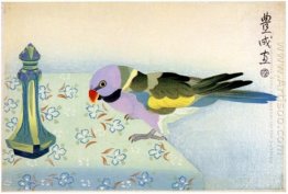 Parakeet på tabell