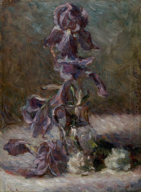 Iris en un florero 1886