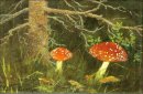 Toadstools Under The Tree