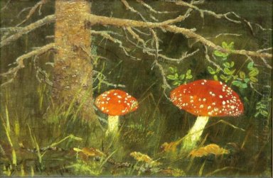 Toadstools Sotto L\'albero