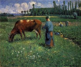 girl tending a cow in pasture 1874
