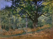 O Bodmer Oak Fontainebleau