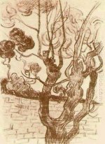 Treetop visto contra la pared del Asilo 1889