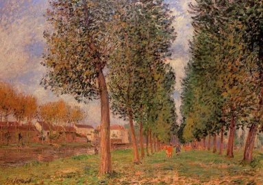 l\'avenue de peupliers de Moret temps nuageux le matin 1888