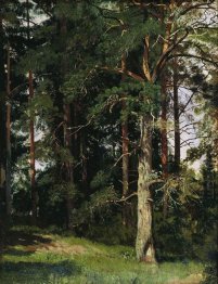Hutan 5
