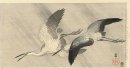 Two herons in flight