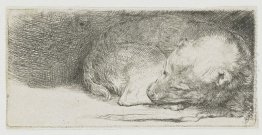 Sleeping Puppy 1640