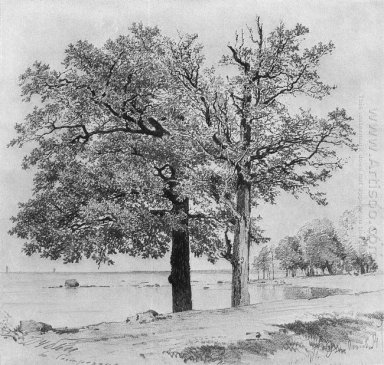 Oaks Di Sestroretsk