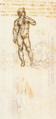 Studie van David van Michelangelo 1505