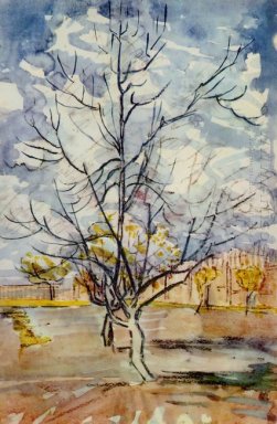 Rosa Pfirsich-Bäume 1888