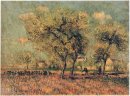 Paisagem da mola