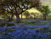 Old Oak Tree e Bluebonnets no West Texas Militar Gro vivo