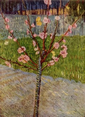 Almond Tree In Blossom 1888