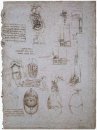 Studier av Villa Melzi och anatomiska Study 1513
