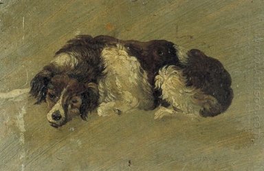 Собака 1899