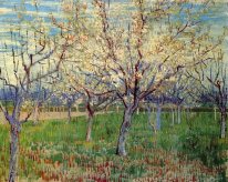 Huerta con el florecimiento de árboles de albaricoque 1888