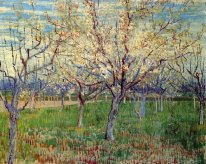 Obstgarten mit blühenden Aprikosen-Bäume 1888