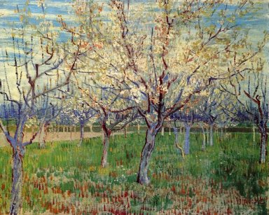 Orchard С цветущих абрикос деревьев 1888