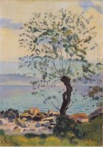 Willow Tree By The Lake 1890