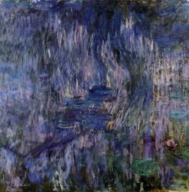 Nénuphars , Reflet d\'un saule pleureur