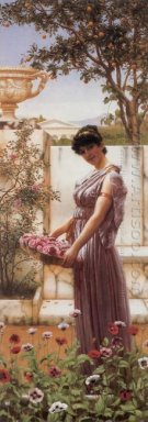 As flores de Venus