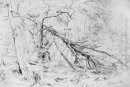 Gebrochene Birch 1872
