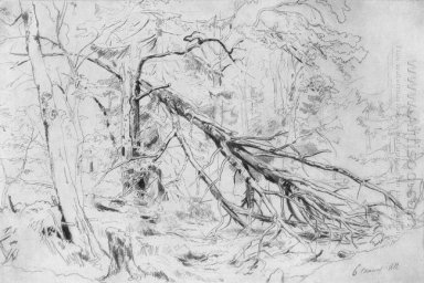 Patah Birch 1872