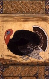 En kalkon kuk kom till Jahangir från Goa 1612