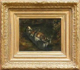 Kuda Diserang Oleh Lioness 1842