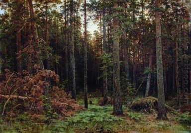 Pine Forest 1885 1