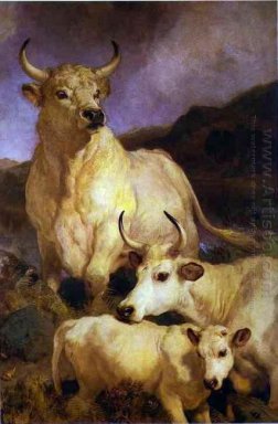 The Wild Cattle of Chillingham