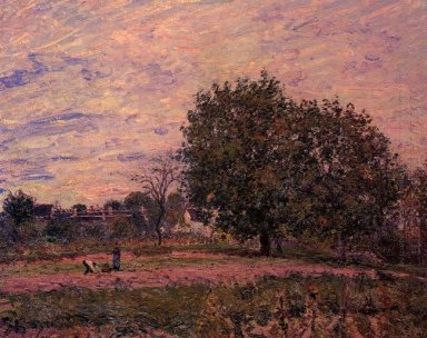 Alberi di noce tramonto primi giorni di ottobre 1882