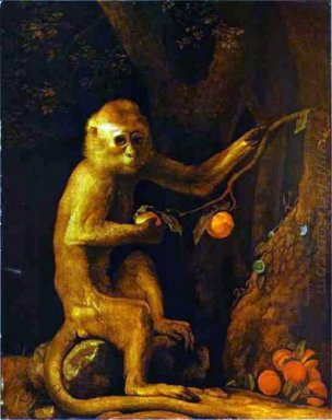 Portrait Of A Monkey 1774