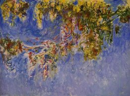 Wisteria 2 1920