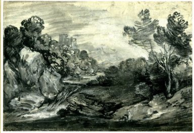 Rotsachtig bebost landschap met Waterval Kasteel en Berg