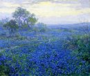 Sebuah Cloudy Day, Bluebonnets Dekat San Antonio, Texas