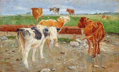 Cows near the well at Gammelgaard, Saltholm