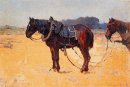 Chevaux de travail