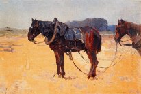 Chevaux de travail