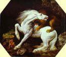 Pferd von einem Löwen angegriffen 1765