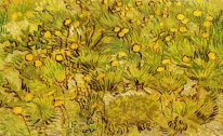 Um campo de flores amarelas 1889