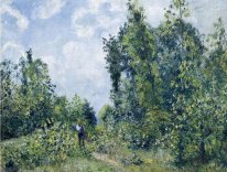 caminante cerca de la madera 1887