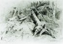 Wind omgevallen bomen 1867