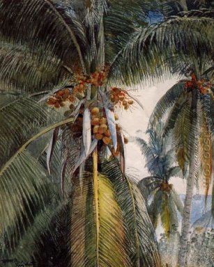  Coconut Palms, Key West