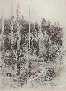 Väg i skogen 1884